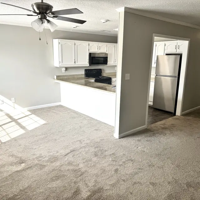 A spacious living room with beige carpet and natural light from a window, featuring a ceiling fan and an open kitchen area with white cabinets and a black appliance setup.