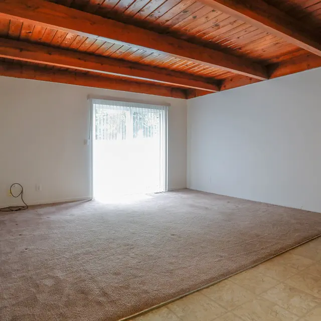 A bright, empty room with carpeted flooring and a sliding glass door leading to an outdoor area.