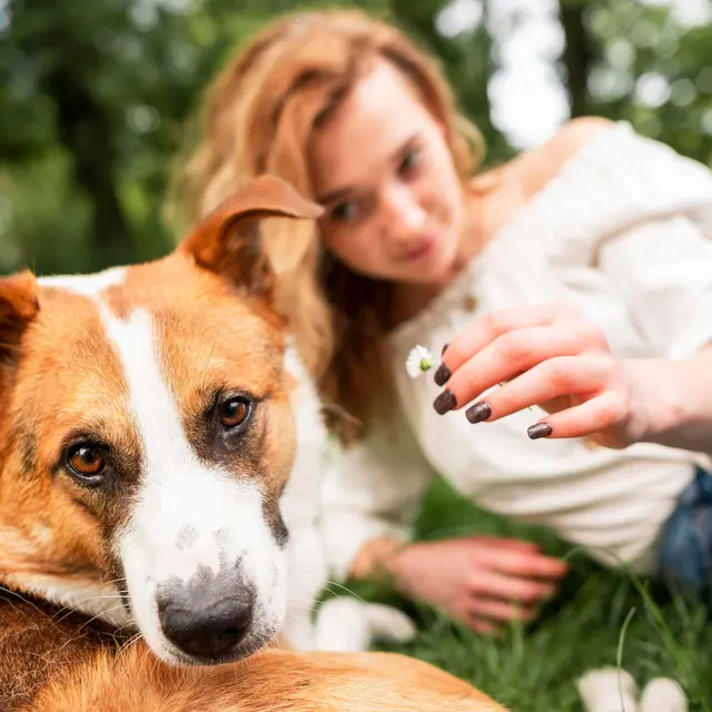The Hideaway A woman gently holds a small flower while lying on the grass next to a dog, with trees in the background.