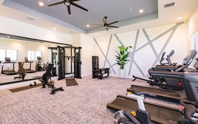 A bright fitness gym equipped with various exercise machines and a mirror, featuring a neat layout and decorative plant.