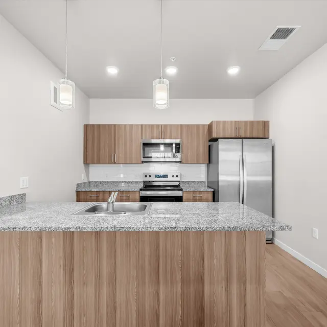 A modern kitchen featuring a countertop with grey granite, wooden cabinetry, stainless steel appliances, and pendant lighting.