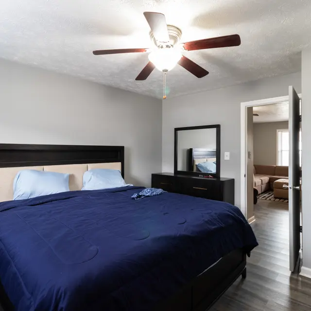 A modern bedroom featuring a black bed with blue bedding, a ceiling fan, a dresser, and a mirror. The room has light gray walls and wooden flooring.