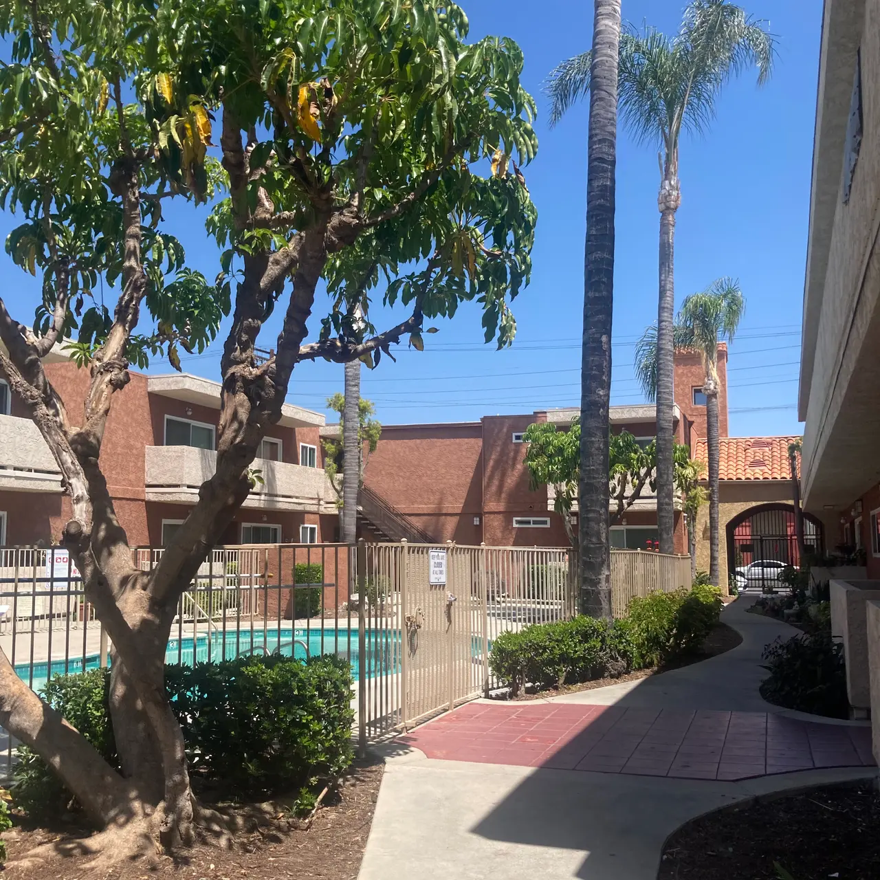 A view of an apartment complex with palm trees and a pool. The path leads towards the pool area, surrounded by greenery and a fence.