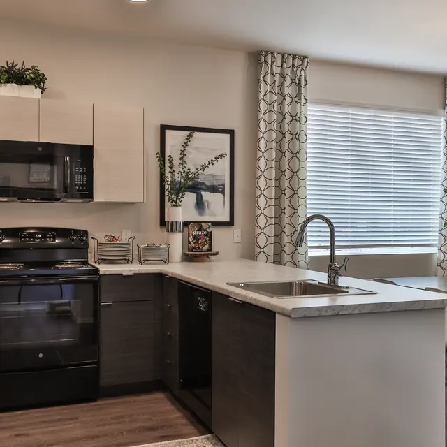 A modern kitchen featuring an open layout with a black stove, microwave, and a sleek countertop. Natural light enters through the window with light-colored curtains, and there are plants and decorative items on display.