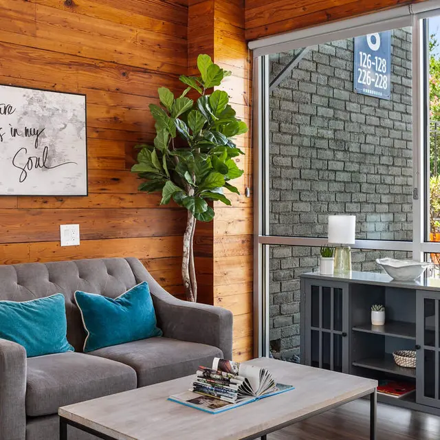A cozy living area featuring a gray sofa with teal cushions, a potted plant, and a coffee table with magazines on it. There's a cabinet against the wall and a large window showing greenery outside.