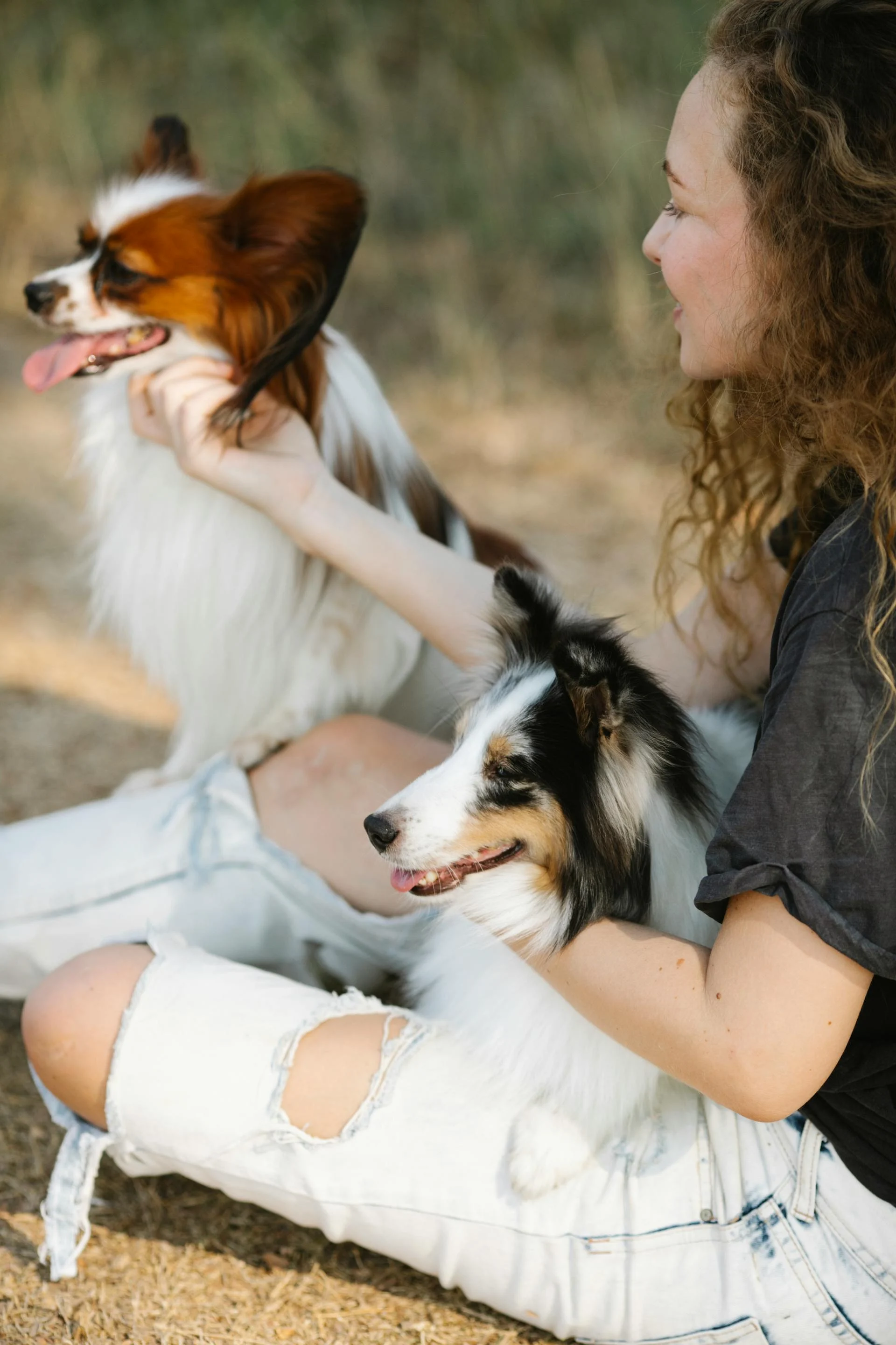 Girl Enjoying Time with Her Dogs A girl sitting on the ground in a natural setting, playing with two dogs. One dog is a Papillon with large ears, and the other is a Shetland Sheepdog. The girl has curly hair and wears a casual outfit with ripped jeans.