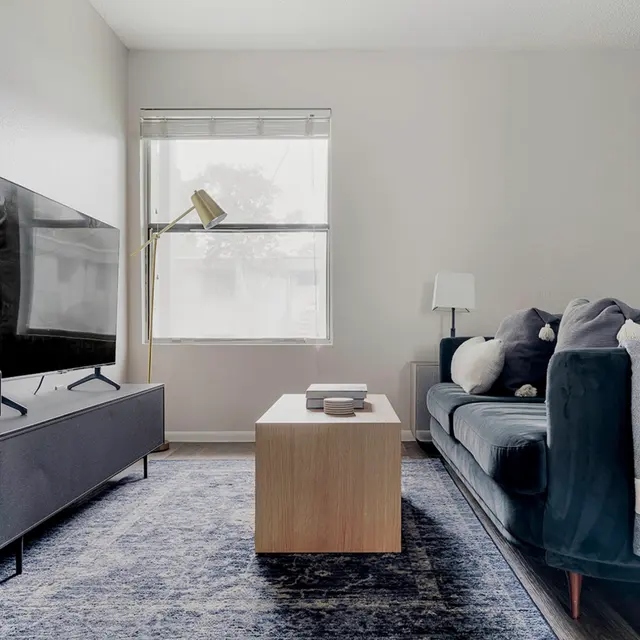 A modern living room featuring a comfortable sofa, a wooden coffee table, a television on a low black cabinet, and natural light coming through a window.