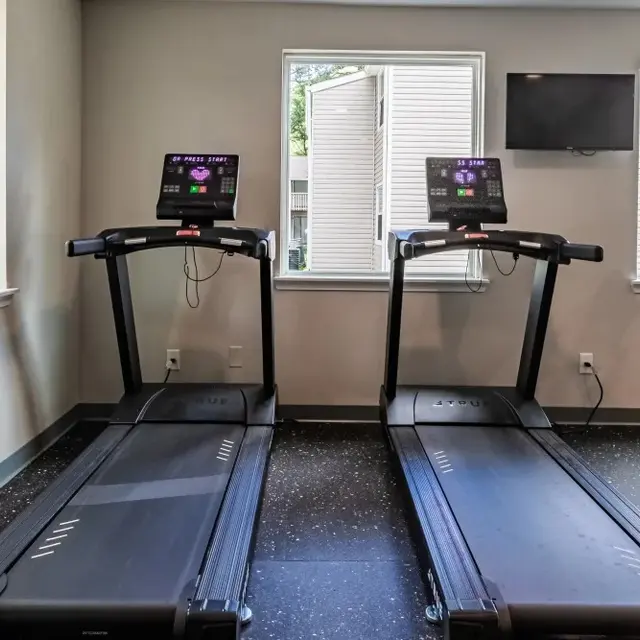 Two treadmills in a gym with large windows letting in natural light, and a television mounted on the wall.