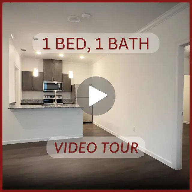 1 Bed 1 Bath Bellingham Walkthrough