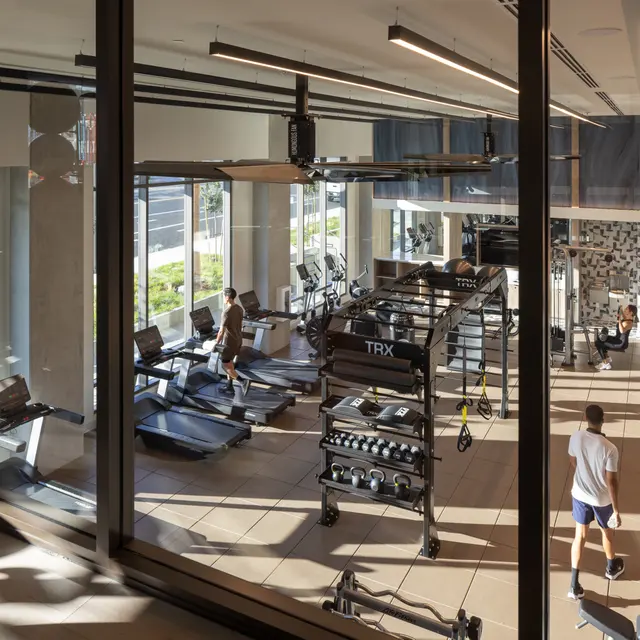 Modern Gym Interior with Exercise Equipment A modern gym interior with large windows and various exercise equipment including treadmills, TRX system, and weights. Two individuals are working out, one on a treadmill and the other exercising on the floor.