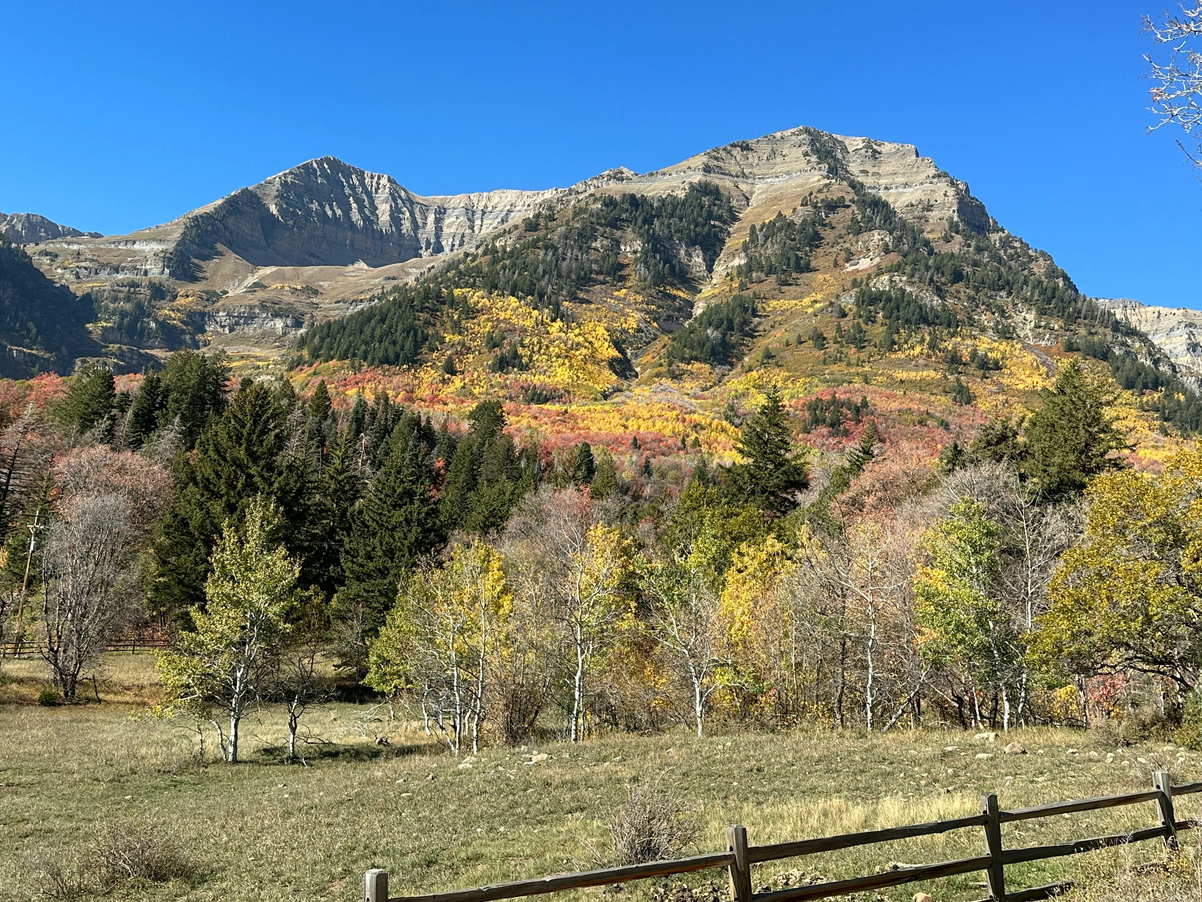 A scenic view of mountains with colorful autumn foliage in the foreground, under a clear blue sky.