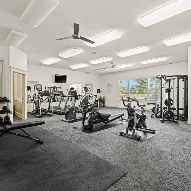 A spacious fitness room with various gym equipment, including treadmills, weights, and exercise bikes, surrounded by large windows.
