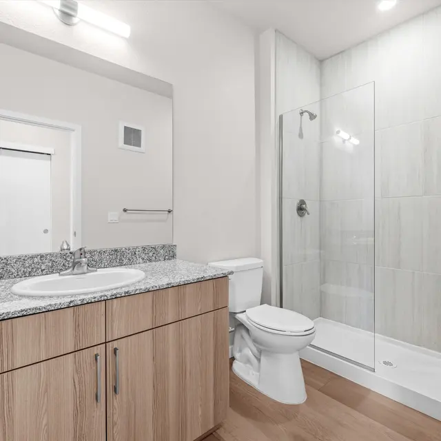 A modern bathroom featuring a glass shower, wooden cabinetry, and a granite countertop sink.