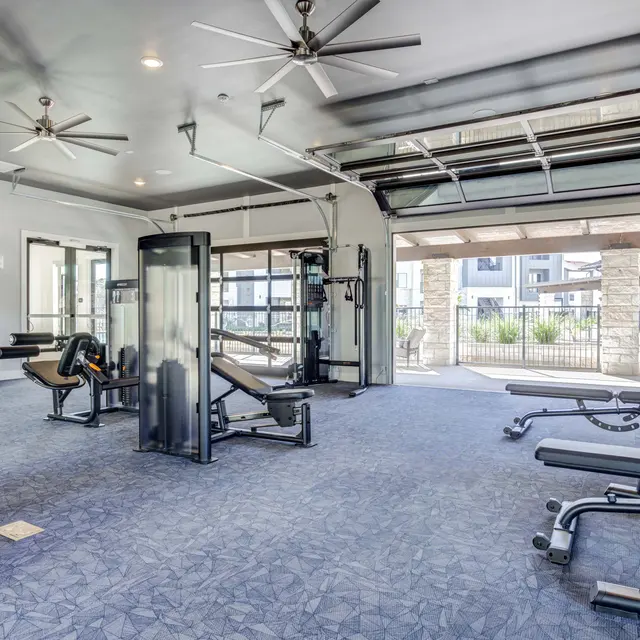 A spacious and modern gym interior with workout equipment, large windows, and a view of an outdoor space.
