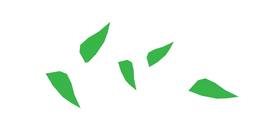 A simple illustration of a branch with green leaves.