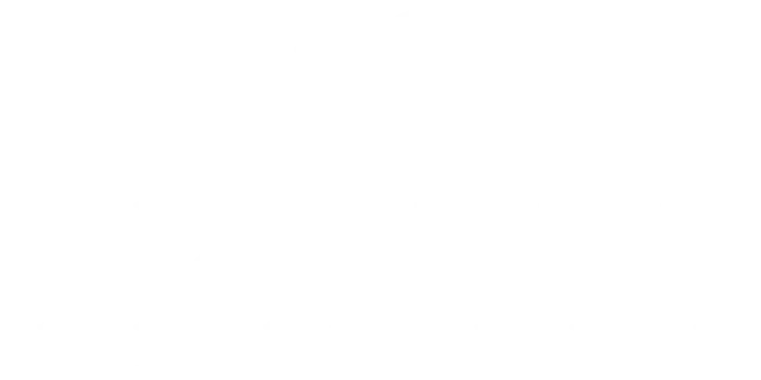 Logo of Trinity Estancia featuring stylized font and design elements.