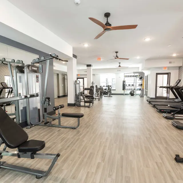 Interior of a modern gym featuring various exercise equipment and machines, with a spacious layout and natural light.