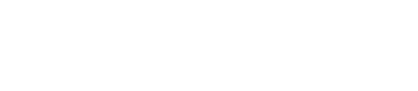 Novus