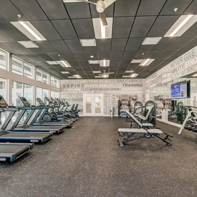 A spacious, modern gym with rows of treadmills and weightlifting equipment. The walls are adorned with motivational phrases related to fitness and health. Large windows allow natural light to flood the space, creating an inviting atmosphere.