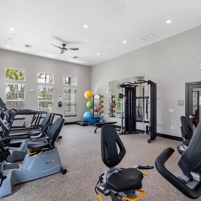 Gym, Fitness, Exercise