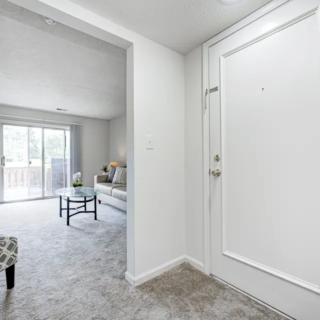 Interior view of an apartment entryway leading to a living room with a balcony.