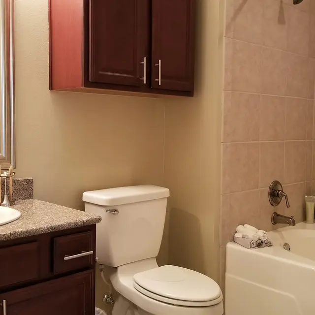 A modern bathroom featuring a bathtub, a toilet, and a double sink vanity with wooden cabinets.