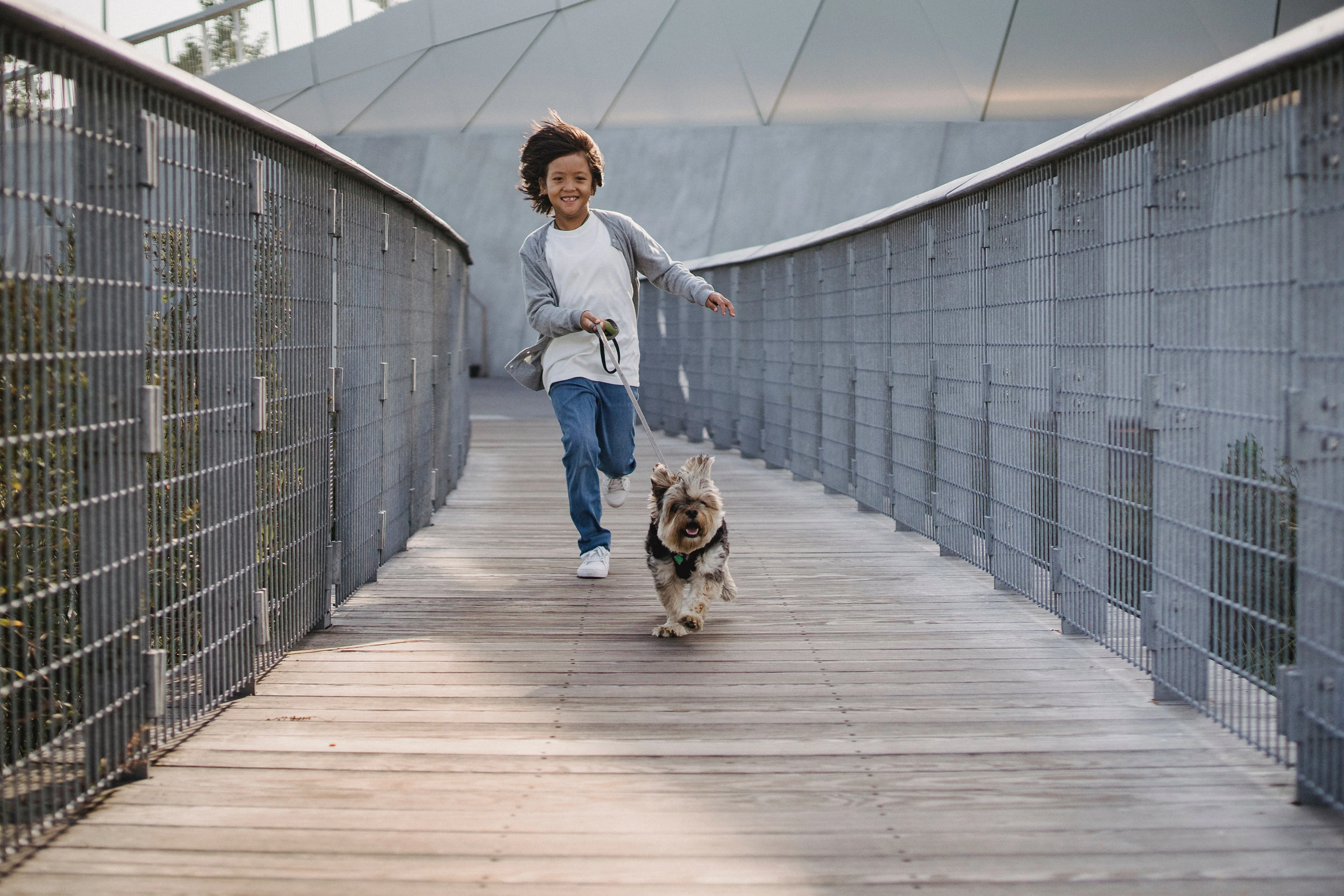 A child with curly hair is joyfully running on a wooden bridge, holding a leash attached to a small dog that is running beside them.