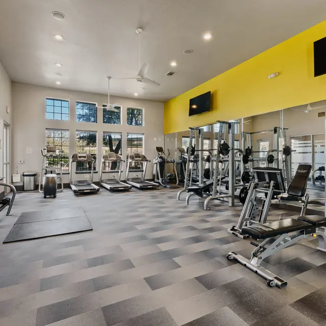 A spacious gym interior featuring multiple workout machines, free weights, and large windows that provide natural light. The room has a modern design with a bright yellow accent wall.