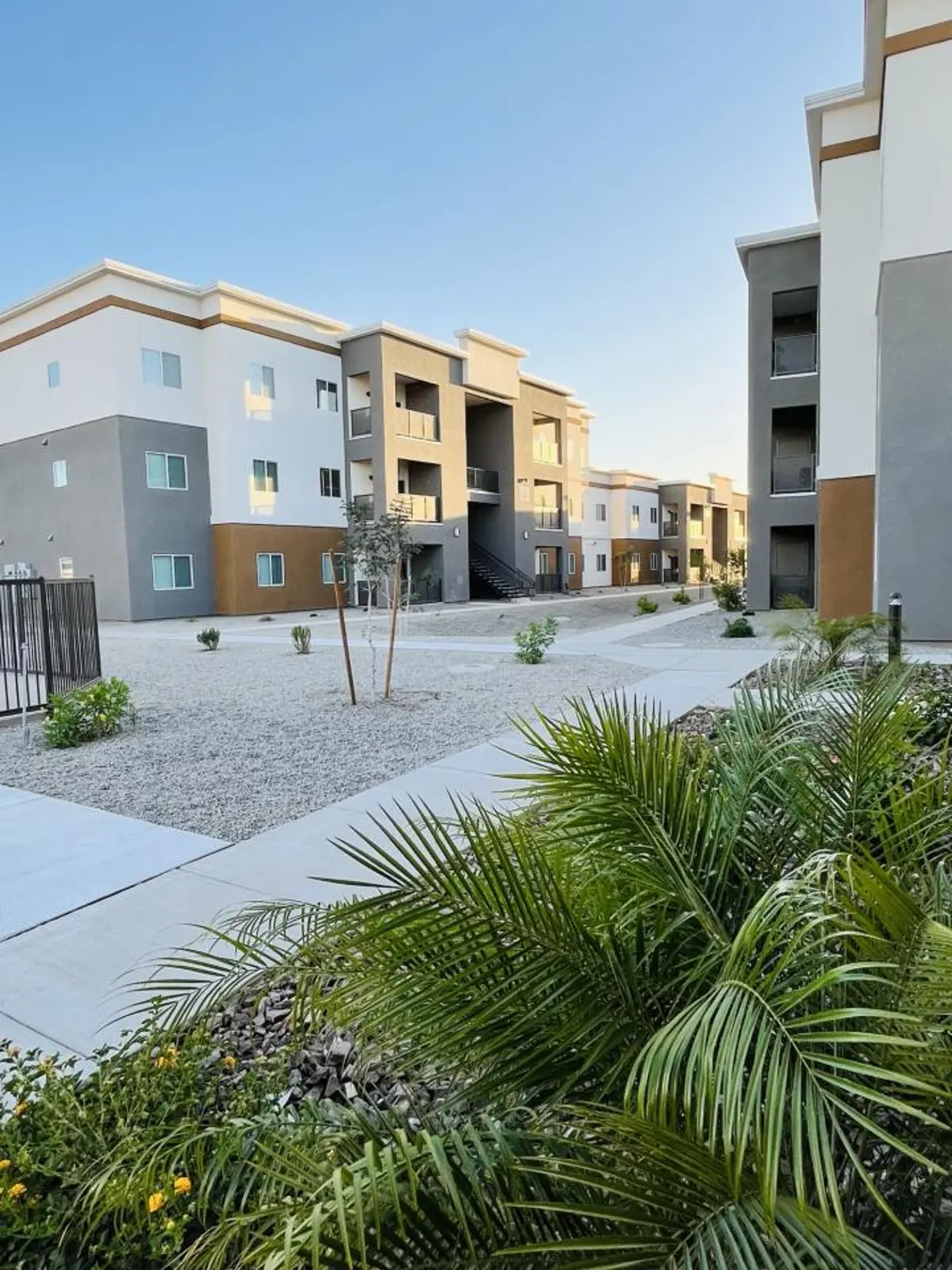 Landscaped walkway between buildings.