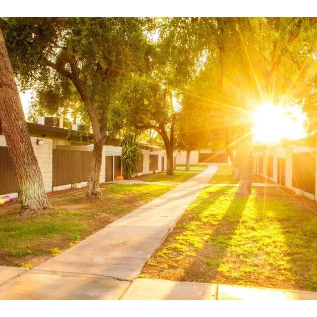 Sunset in Residential Area A pathway in a residential area with sunlight filtering through trees, casting rays and shadows on the ground.