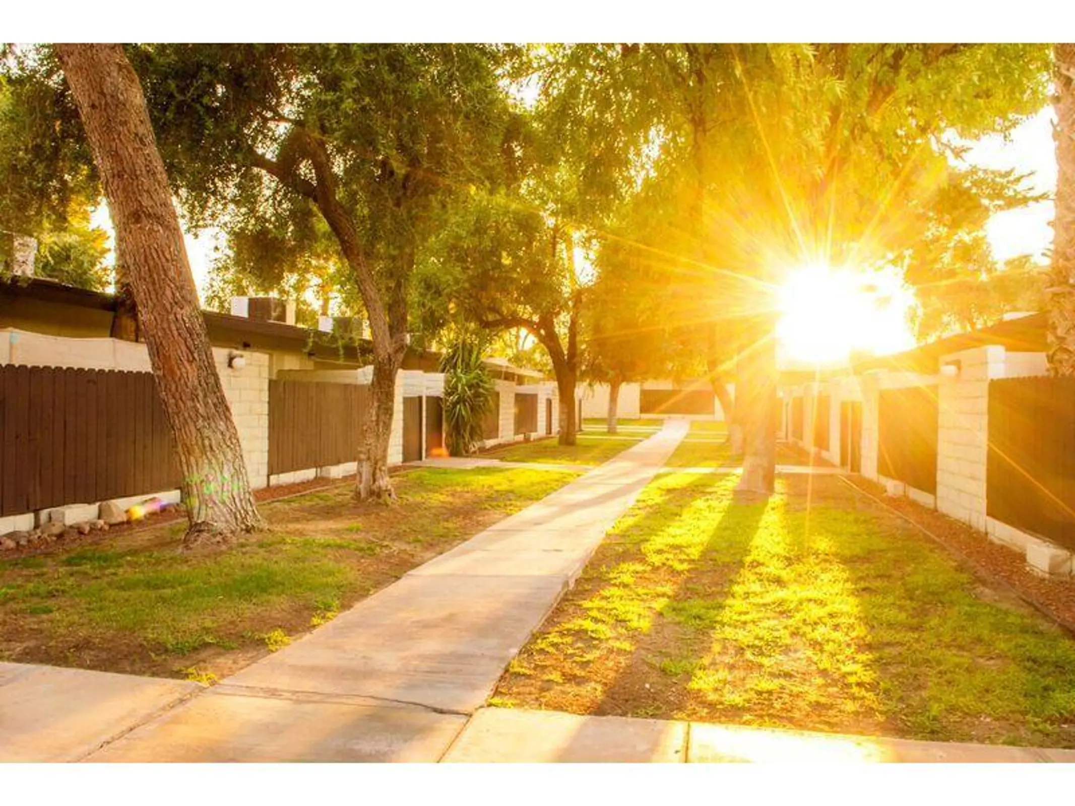 Walkway through lawns and trees between apartment buildings.