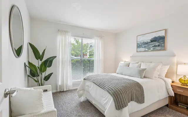 A bright, modern bedroom with a large bed, white linens, a cozy throw, a plant, and natural light from windows.