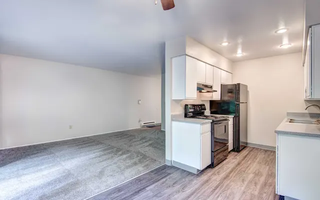 A modern kitchen with stainless steel appliances and a living area with grey carpet that appears open and bright.
