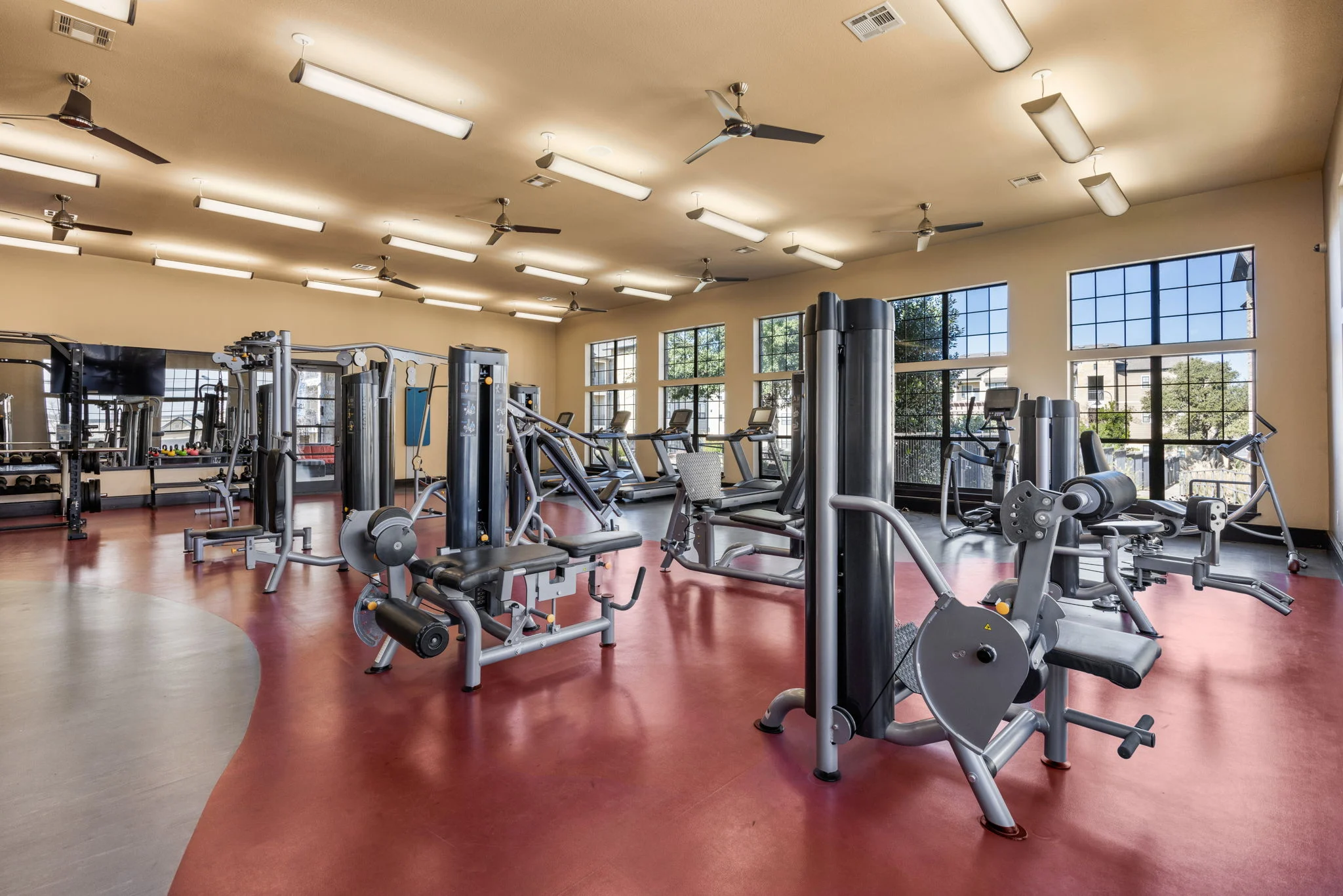 Interior view of a gym featuring various exercise machines and equipment arranged in a spacious layout.