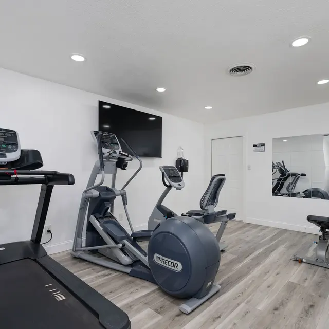 A modern home gym with a treadmill, elliptical machine, and a weight bench. The space features a large mirror and a television mounted on the wall, with bright lighting and wooden flooring.