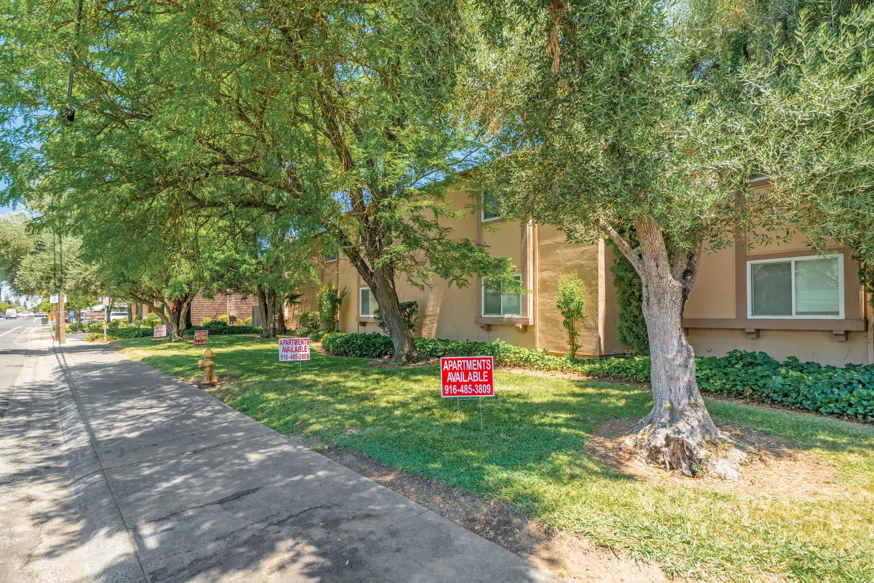 A grassy area in front of an apartment building with several trees. There are signs indicating that apartments are available.