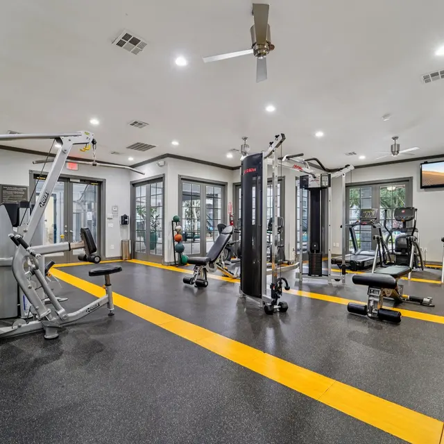 Interior view of a modern gym with various exercise machines and equipment