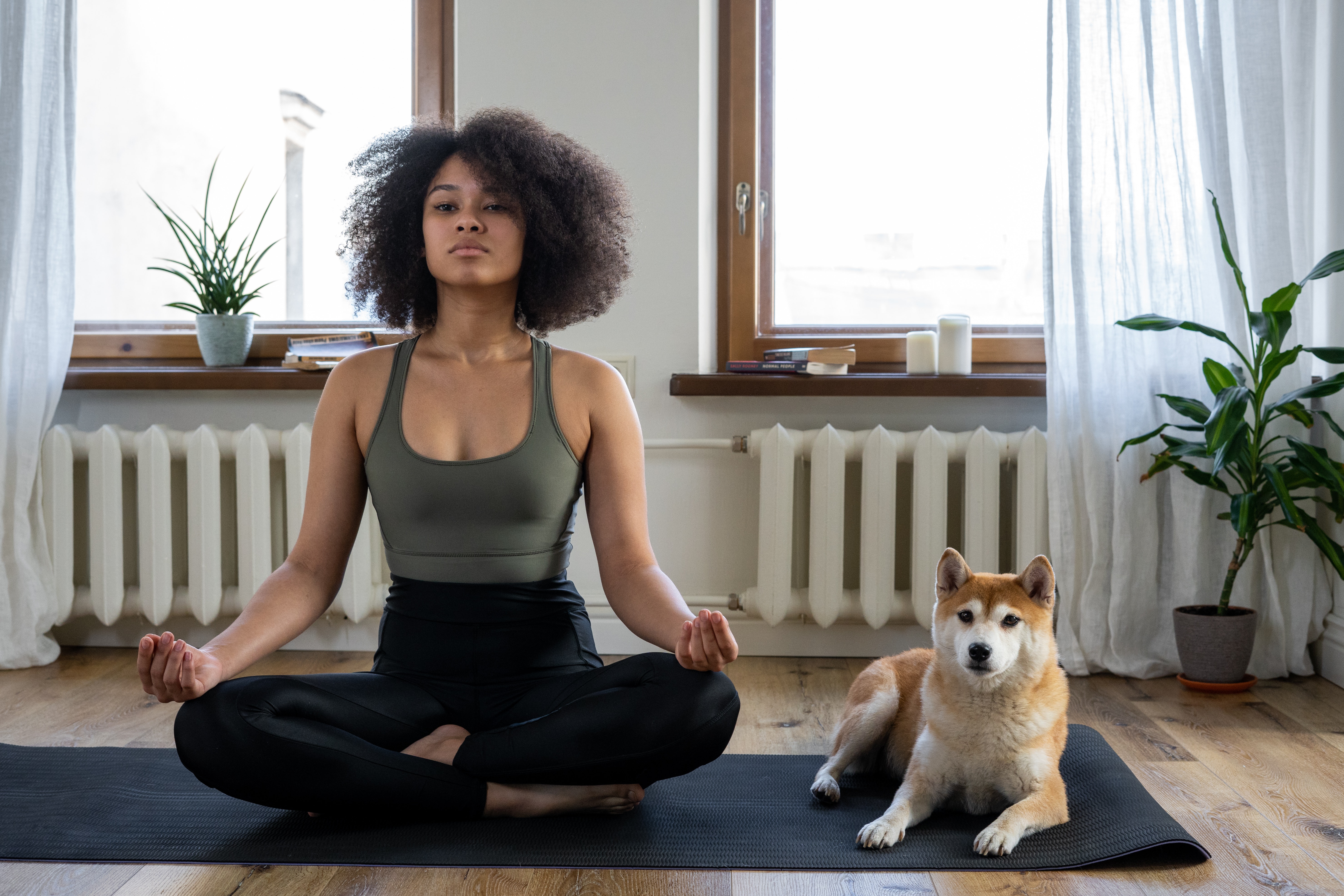 A person practicing yoga indoors, seated in a meditative pose on a yoga mat, with a dog sitting beside them. The room has large windows and indoor plants, creating a serene atmosphere.