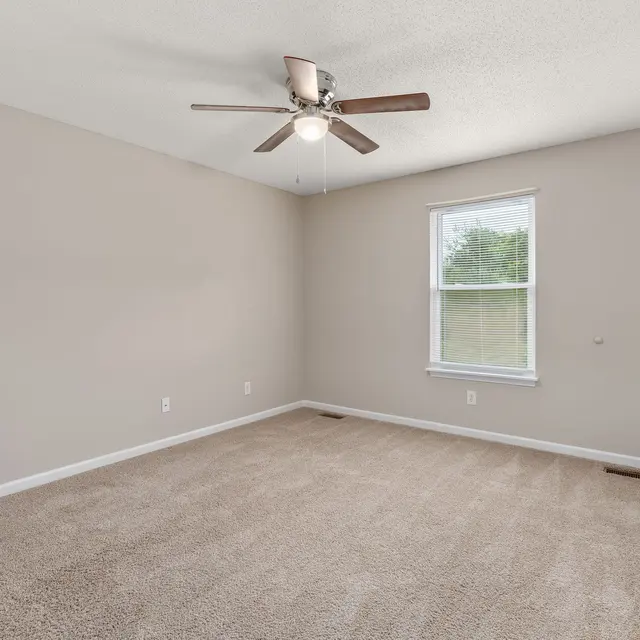 A spacious empty bedroom featuring grey walls, a ceiling fan, and a single window with natural light coming in.