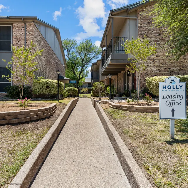 Holly-Office_Dog park-Resized Small-4.jpg