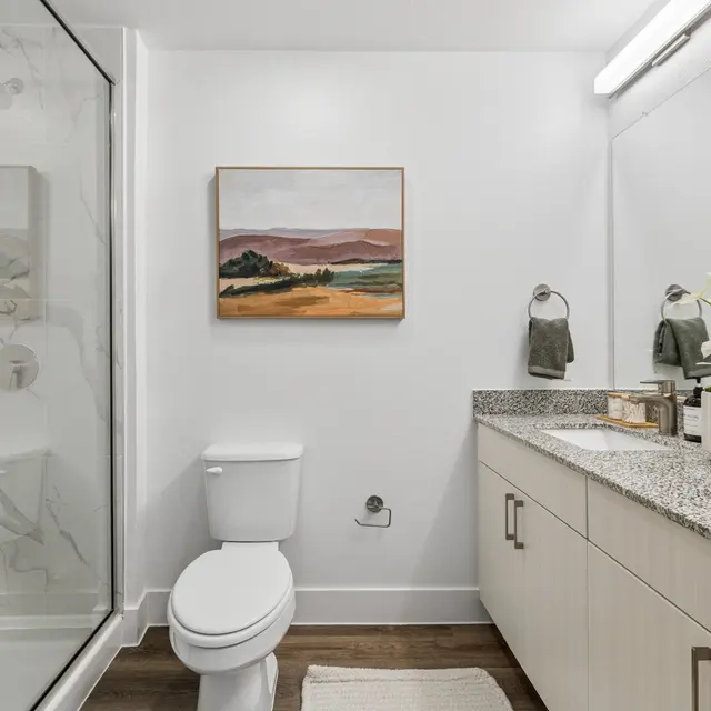 Modern Bathroom Interior A modern bathroom featuring a shower with glass doors, a white toilet, and a double vanity with a granite countertop. Decorative elements include a painting of a landscape and a plant arrangement on the vanity.