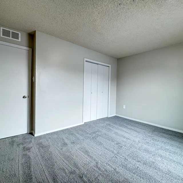 An empty room with gray carpet and light gray walls. There is a closed white door on the left and a closet with sliding doors on the right. Natural light fills the space, creating a bright atmosphere.