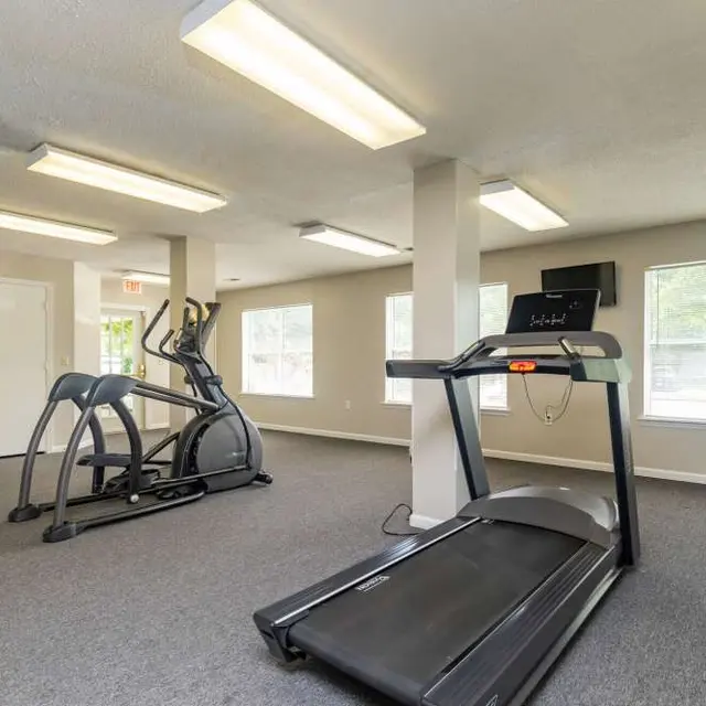A modern gym interior featuring a treadmill and an elliptical machine. Bright, spacious room with windows allowing natural light and gray carpeting.