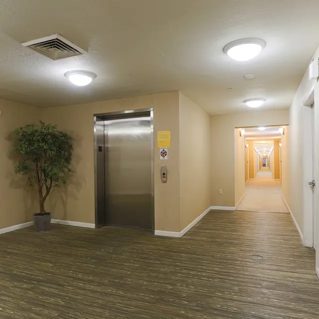 A well-lit apartment hallway featuring an elevator, a decorative plant, and beige walls with wooden flooring.