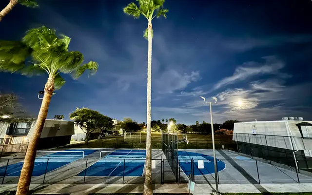 Nighttime Tennis Court Night view of a tennis court surrounded by palm trees, illuminated by moonlight.