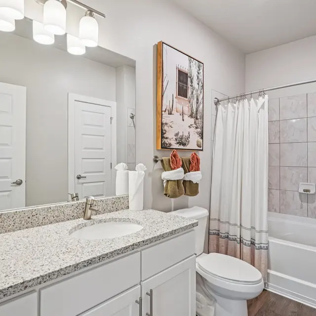 Modern Bathroom Interior A modern bathroom featuring a granite countertop with a sink, a white toilet, a bathtub with a shower curtain, and a framed artwork on the wall. The decor includes potted plants and towels hanging on hooks.