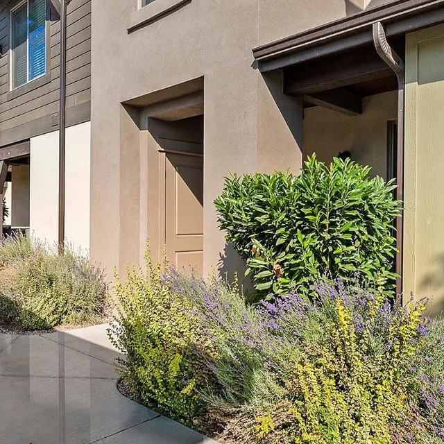 A view of a modern housing complex with multiple buildings and greenery.