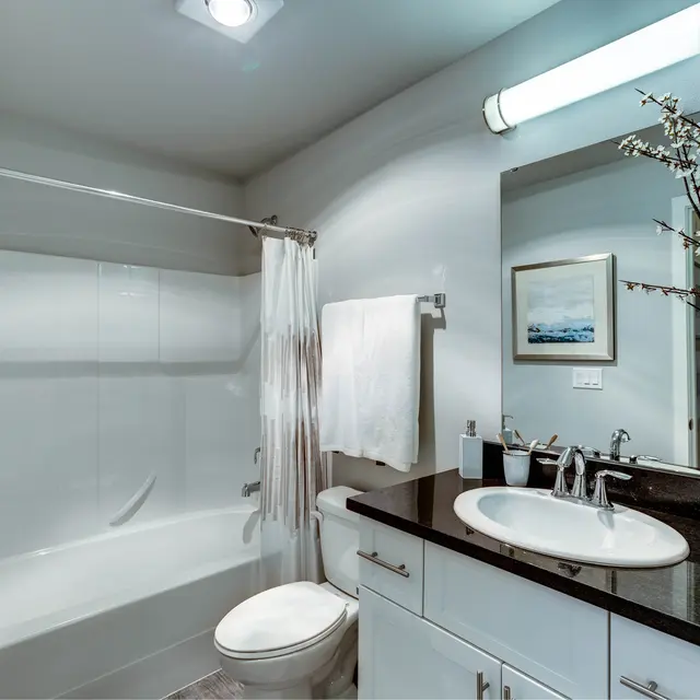 A modern bathroom featuring a white tub, toilet, and sink with a dark countertop. A vase with floral decoration is on the counter, and a framed picture is on the wall. The bathroom is well-lit and has a clean design.