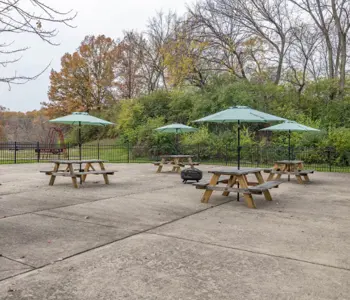 A picnic area with wooden tables and green umbrellas in a park setting, surrounded by trees and grass, with a concrete surface.