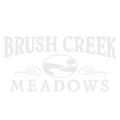 Brush Creek Meadows Logo Logo of Brush Creek Meadows, featuring stylized text and a graphic of a serene landscape with water.